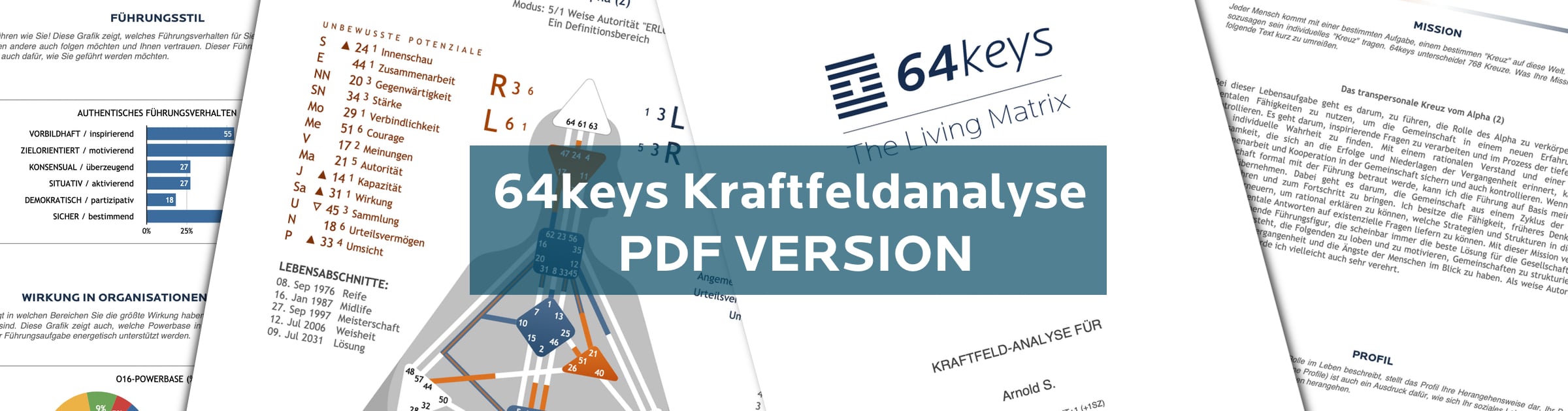 64keys Kraftfeldanalyse PDF