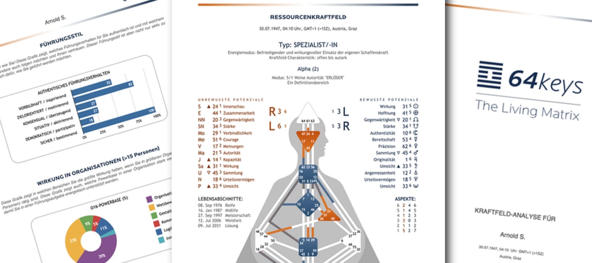 64keys Kraftfeldanalyse PDF